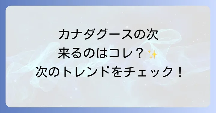 カナダグースの次に注目されるダウンジャケットブランド