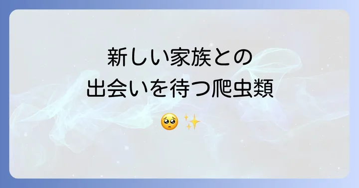 爬虫類を飼えなくなった場合の選択肢