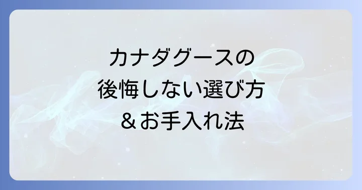 カナダグースのメンテナンスと長く愛用するための秘訣