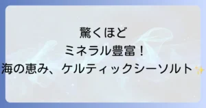 ケルティックシーソルトを徹底解説普通の塩との違いと健康効果