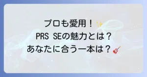 PRSSEを使用するアーティスト徹底解説！プロが選ぶ理由とおすすめモデル
