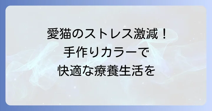 エリザベスカラー装着中の愛猫ケアと注意点