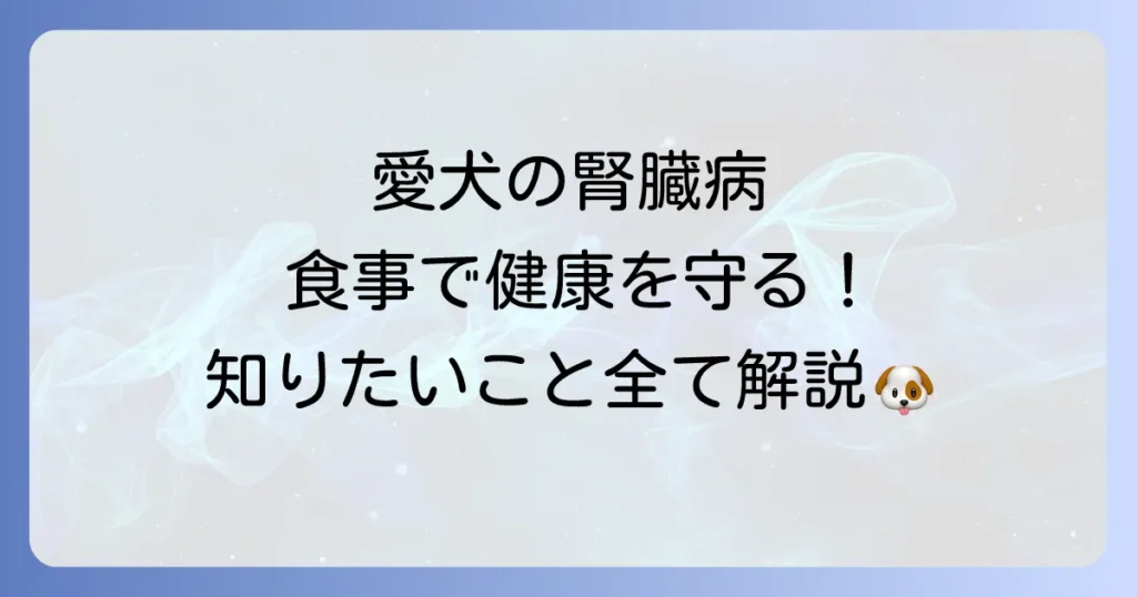 腎臓病の犬に良い食べ物で愛犬の健康を守る！食事療法と避けるべき食材を解説