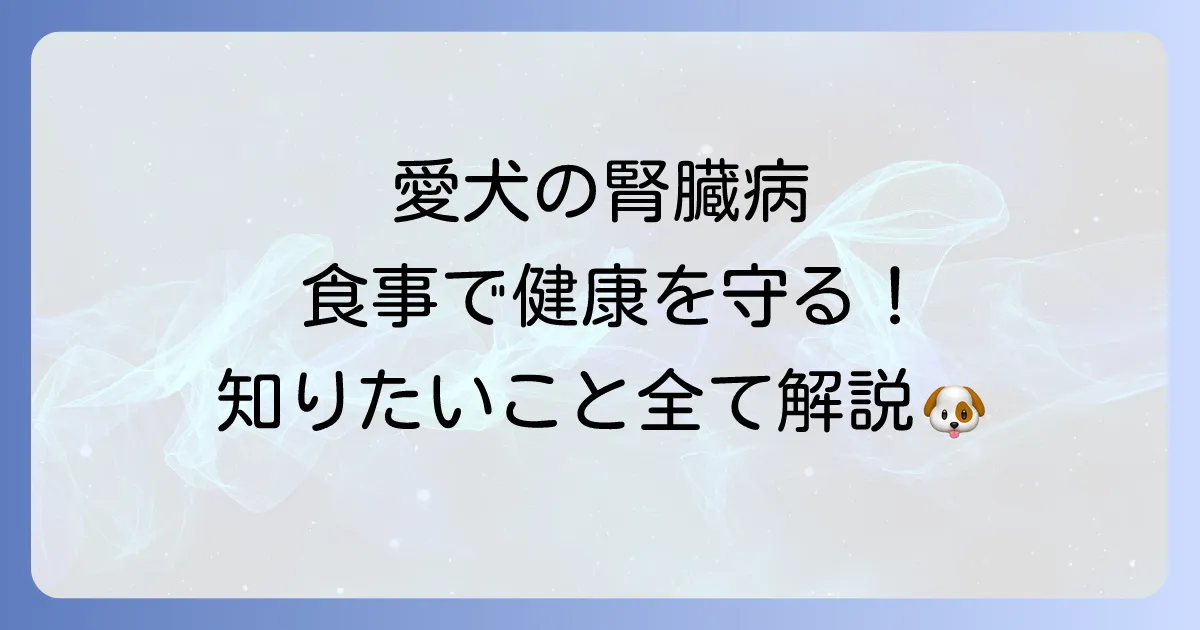腎臓病の犬に良い食べ物で愛犬の健康を守る!食事療法と避けるべき食材を解説