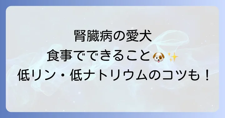 腎臓病の犬に「良い」おすすめ食材と食事のコツ