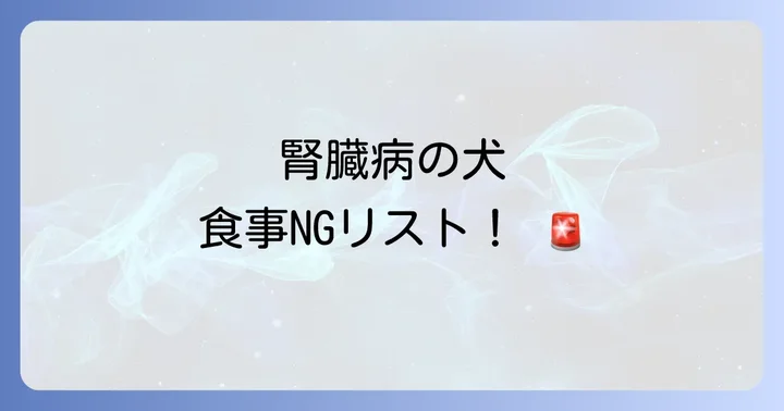 腎臓病の犬が「避けるべき」食べ物と注意点