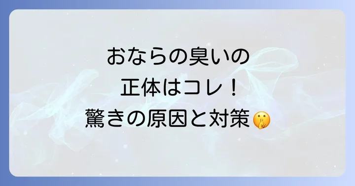 おならの基本的な仕組みと臭いの正体