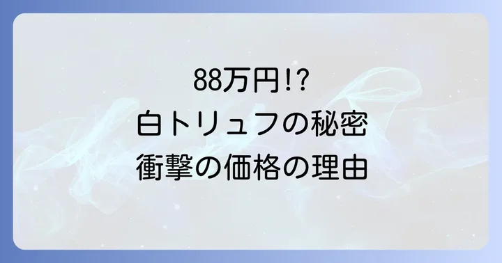 なぜ88万円もするの？「白夜」の驚くべき価格の秘密