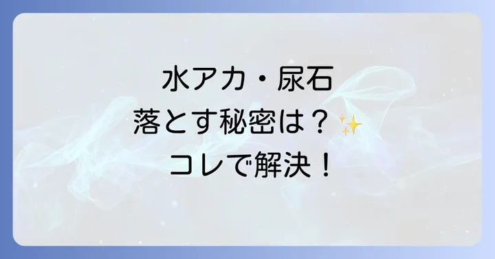 ポリッシュバーとは？その特徴と種類を詳しく紹介