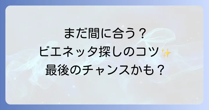 まだ間に合う?ビエネッタが買える可能性のある場所