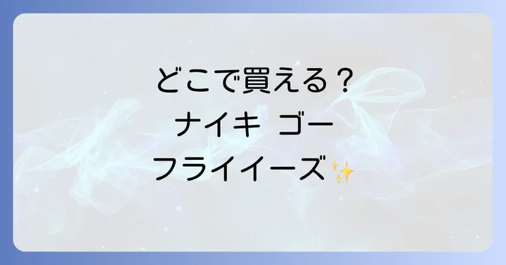 ナイキゴーフライイーズは主にどこで買える?販売チャネルを徹底調査