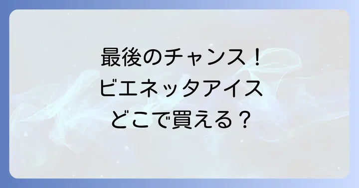 ネット通販や業務用サイズでビエネッタアイスを購入する方法