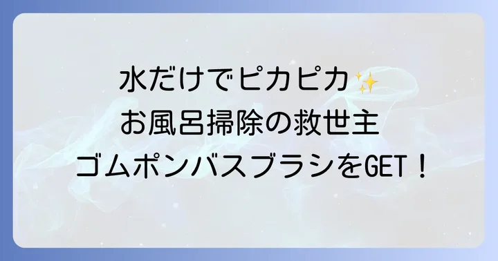 ゴムポンバスブラシの販売店は？実店舗とオンラインショップを徹底調査