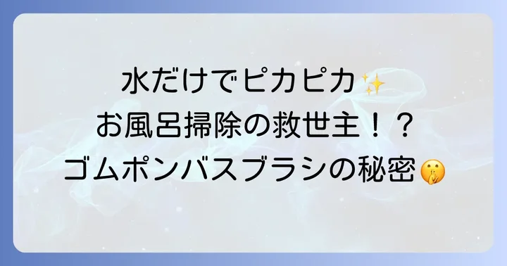 ゴムポンバスブラシの気になる口コミ・評判