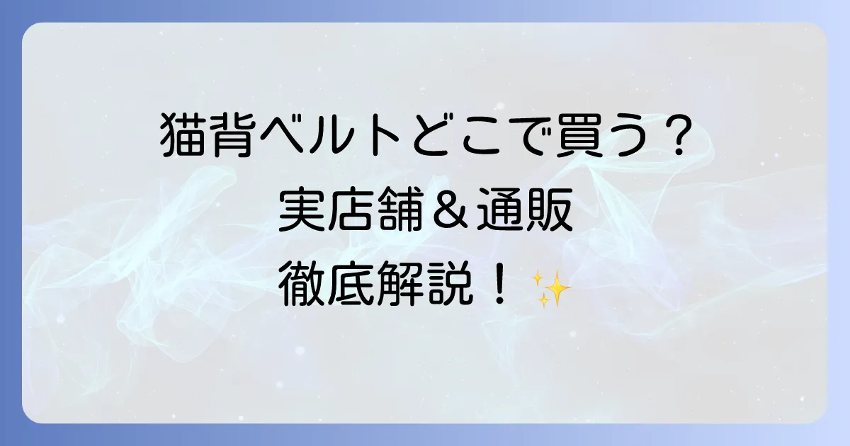 猫背矯正ベルトはどこで売ってる?実店舗からネット通販まで徹底解説