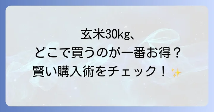 玄米30kgは主にどこで買える？主要な購入先を徹底比較