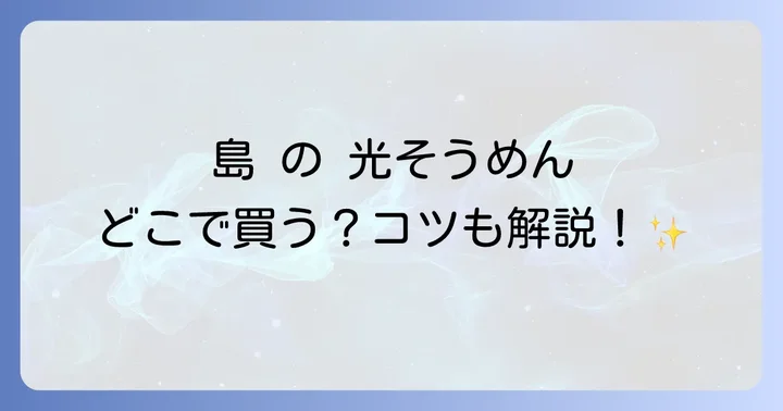 島 の 光 そうめん を購入する際のコツと注意点