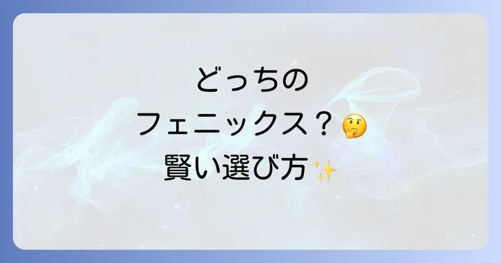 車用フェニックスコーティングの販売店と購入方法