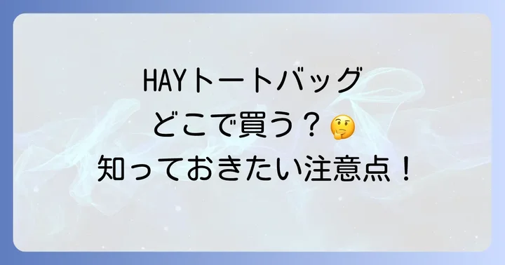 HAYトートバッグ購入前に知っておきたい注意点