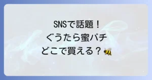 ぐうたら蜜バチはどこで売ってる？販売店と確実に購入する方法を徹底解説！