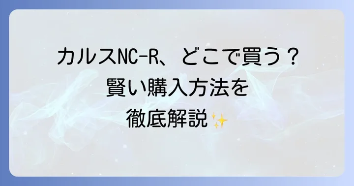カルスNC-Rの主な購入先は?オンラインと実店舗を詳しく紹介