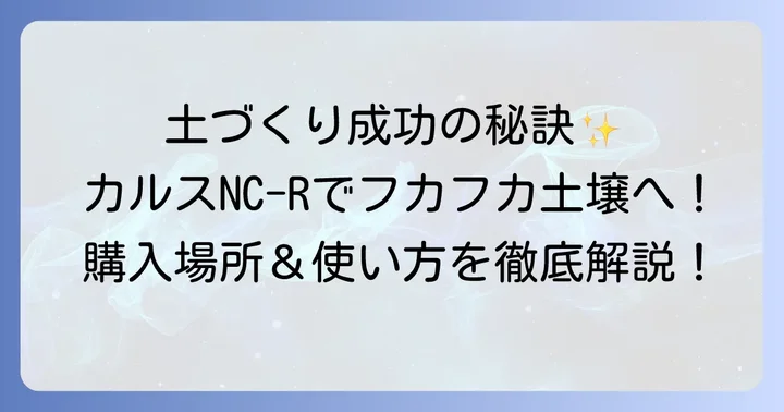 カルスNC-Rの正しい使い方と効果を最大限に引き出すコツ