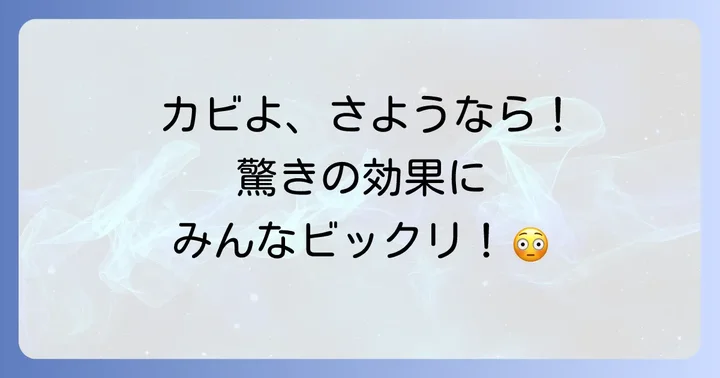 モルクリアプロを確実に手に入れるなら通販サイトがおすすめ