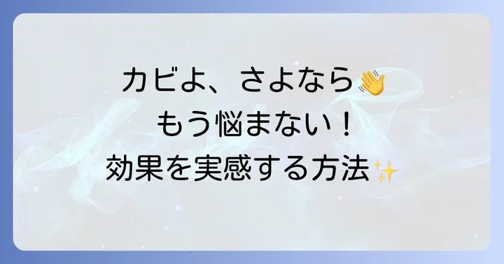 モルクリアプロの価格帯と最安値で買う方法