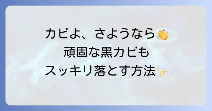 モルクリアプロの正しい使い方と使用上の注意点