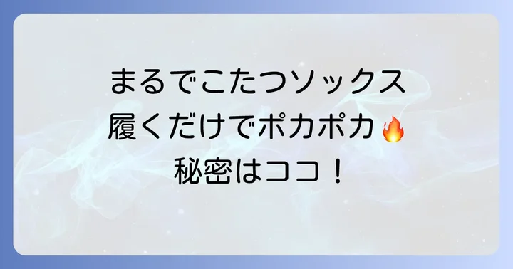 まるでこたつソックスの種類と選び方