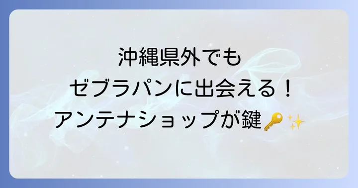 沖縄県外でゼブラパンを手に入れるには？アンテナショップが鍵