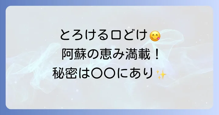 1592チーズケーキが手土産やギフトに選ばれる理由