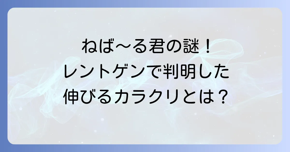 ねばーるくんのレントゲン徹底解説！伸びるカラクリと中身の謎に迫る