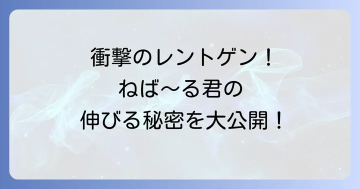 衝撃のレントゲン写真！ねば～る君の伸びる仕組みが明らかに