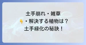 土手に植える根の張る植物で土砂崩れと雑草を徹底対策！選び方から管理まで完全解説