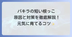 パキラの根っこが短い悩みを解決！原因と対策、健康な根の育て方徹底解説