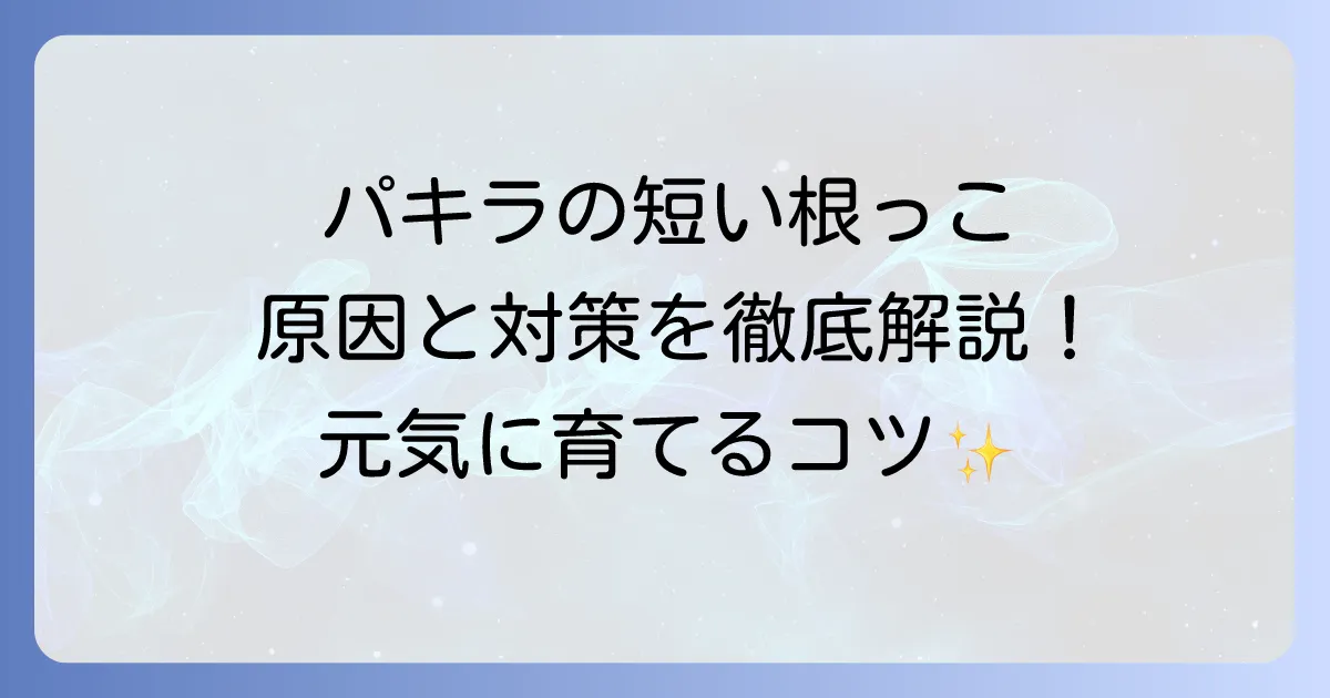パキラの根っこが短い悩みを解決!原因と対策、健康な根の育て方徹底解説