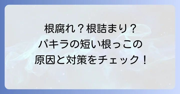 パキラの根っこが短いと感じる主な原因とは?