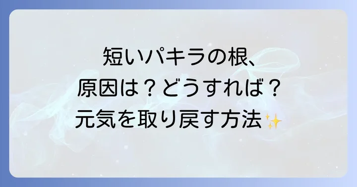 短いパキラの根っこを見つけたら!具体的な対策と処置