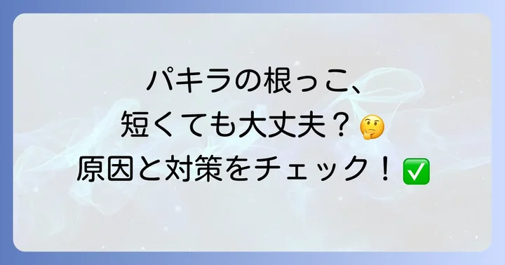 健康なパキラの根っこを育てるコツと予防策