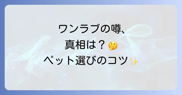 ワンラブはどんな会社？事業内容と企業としての取り組み