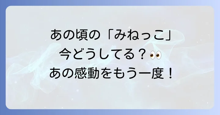 「熱中時代」とは？国民的ドラマの概要