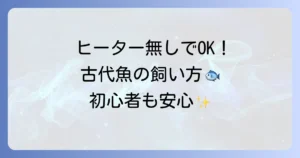 ヒーター無しで飼える古代魚の種類と飼育方法を徹底解説！初心者でも安心の無加温飼育