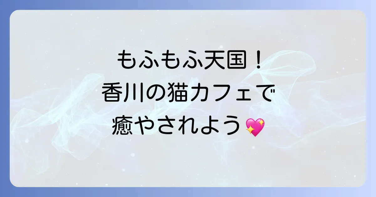 森の猫Pato'sCafeを徹底解説 香川高松のノルウェージャンフォレストキャット専門猫カフェの魅力