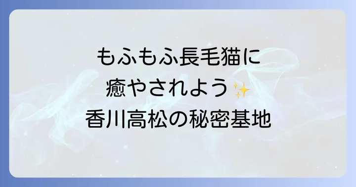 森の猫Pato'sCafeとは？香川高松で出会えるノルウェージャンフォレストキャット専門猫カフェ