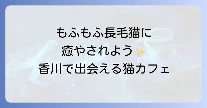 森の猫Pato'sCafeの魅力と特徴