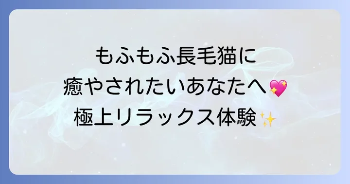 森の猫Pato'sCafeへのアクセスと駐車場情報