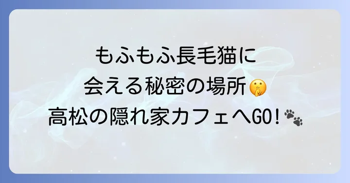 森の猫Pato'sCafe訪問時の注意点とマナー