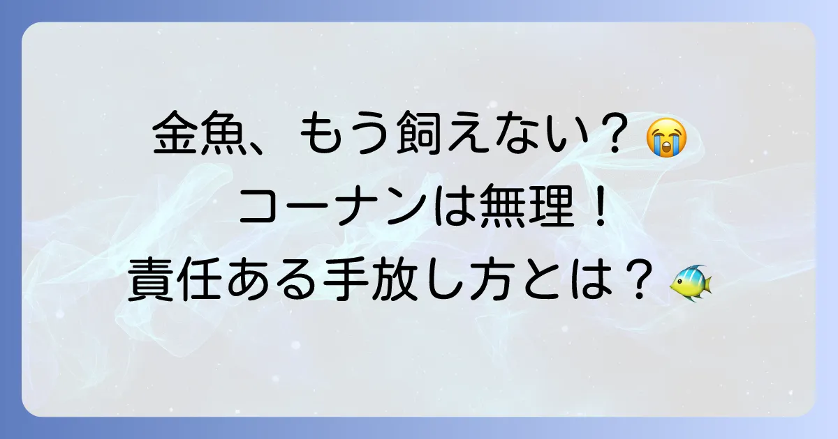 コーナンで金魚は引き取り可能?飼えなくなった時の対処法と責任ある選択肢を徹底解説