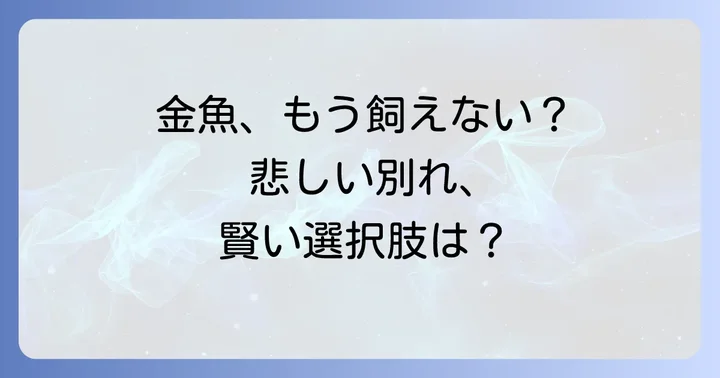 コーナンでの金魚引き取りは現状難しい可能性が高い理由